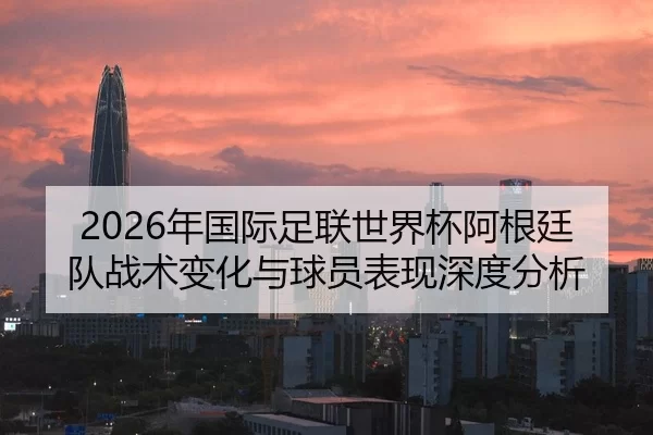 2026年国际足联世界杯阿根廷队战术变化与球员表现深度分析