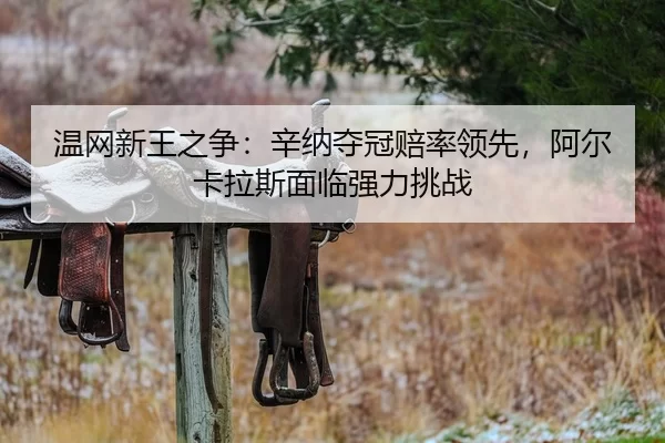 wen-wang-xin-wang-zhi-zheng-xin-na-duo-guan-pei-shuai-ling-xian-a-er-ka-la-si-mian-lin-qiang-li-tiao-zhan-2-342.jpg