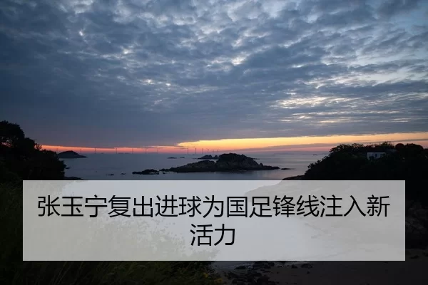 张玉宁复出进球为国足锋线注入新活力