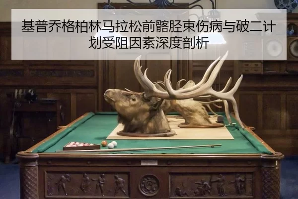 基普乔格柏林马拉松前髂胫束伤病与破二计划受阻因素深度剖析